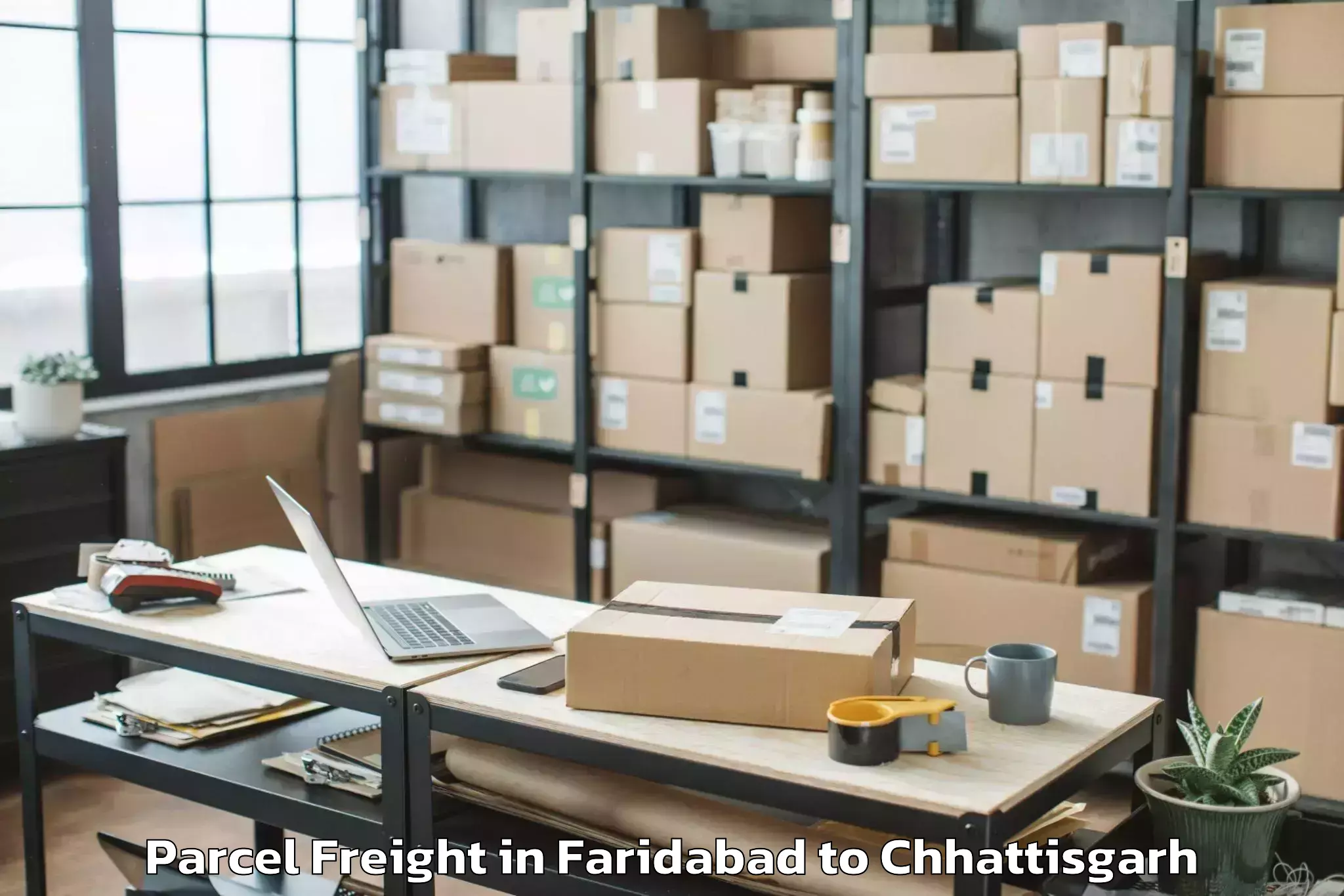 Book Faridabad to Kharora Parcel Freight Online